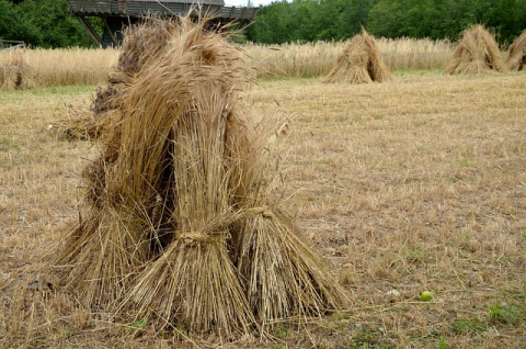 Církev a stát (4): Shrnutí a důsledky