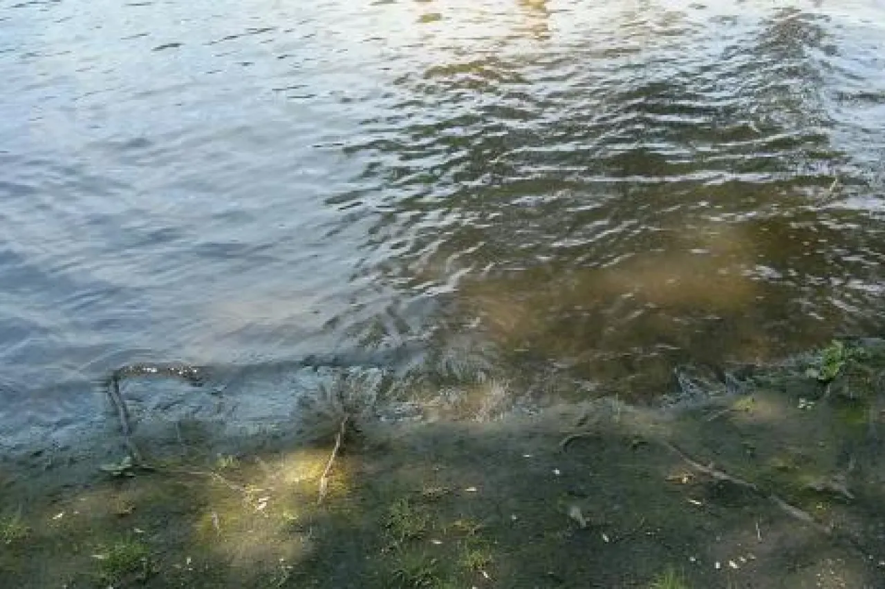 ilustracni foto